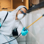 1700855721-dedetizadora-sp-img-15