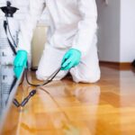 dedetizaçãooo-ouue8ibymsvcdli1880jy0h0o4fi8uz8ijehhagbqo